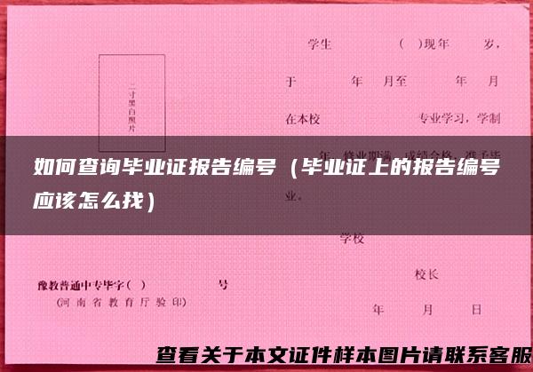 如何查询毕业证报告编号（毕业证上的报告编号应该怎么找）