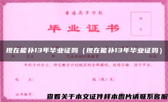 现在能补13年毕业证吗（现在能补13年毕业证吗）