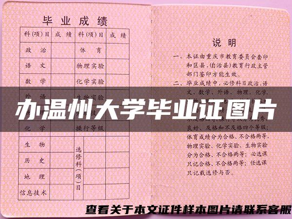 办温州大学毕业证图片