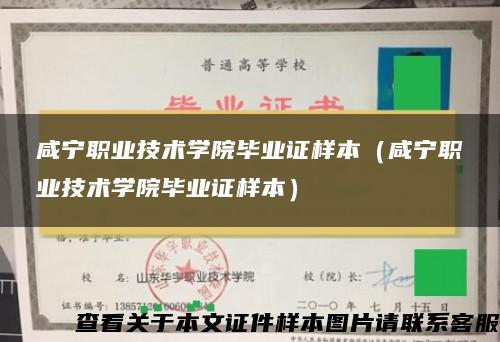 咸宁职业技术学院毕业证样本（咸宁职业技术学院毕业证样本）