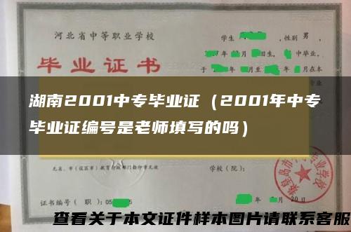 湖南2001中专毕业证（2001年中专毕业证编号是老师填写的吗）