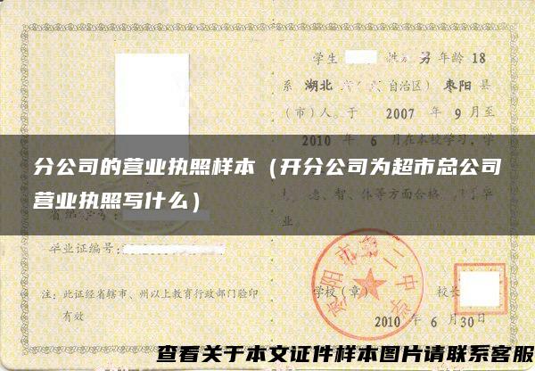 分公司的营业执照样本（开分公司为超市总公司营业执照写什么）