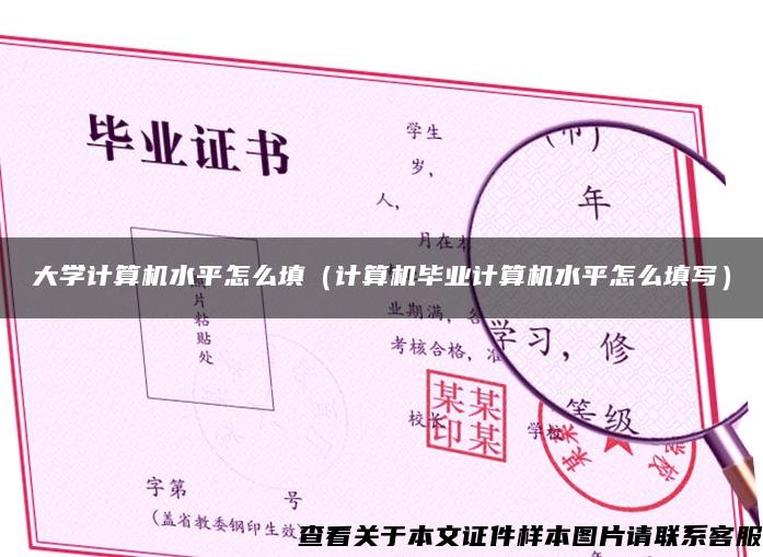 大学计算机水平怎么填（计算机毕业计算机水平怎么填写）