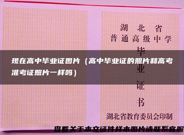 现在高中毕业证图片（高中毕业证的照片和高考准考证照片一样吗）