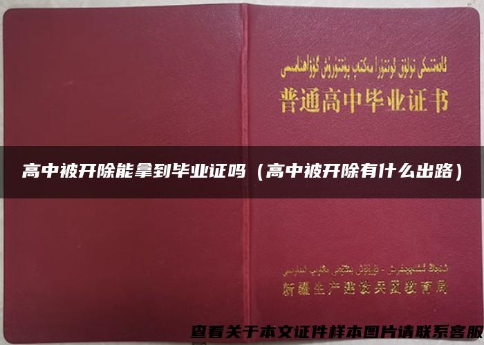 高中被开除能拿到毕业证吗（高中被开除有什么出路）