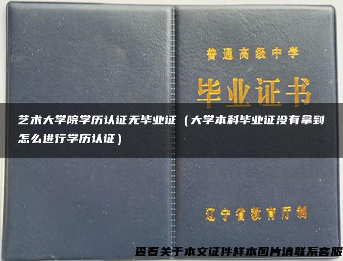 艺术大学院学历认证无毕业证（大学本科毕业证没有拿到怎么进行学历认证）