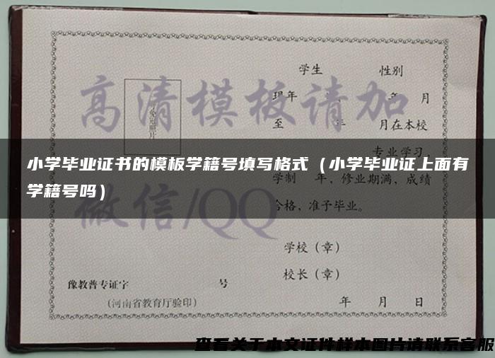 小学毕业证书的模板学籍号填写格式（小学毕业证上面有学籍号吗）