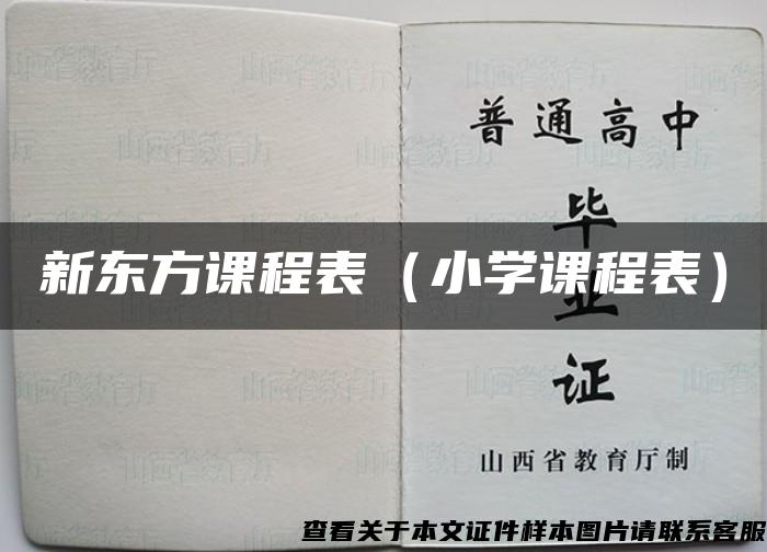 新东方课程表（小学课程表）