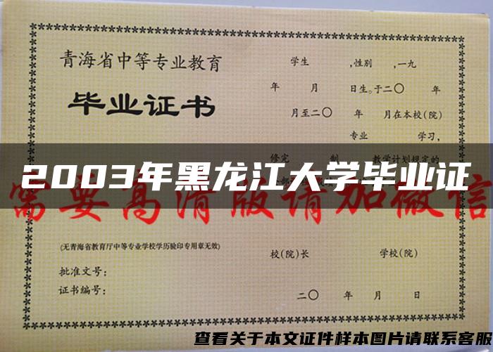 2003年黑龙江大学毕业证