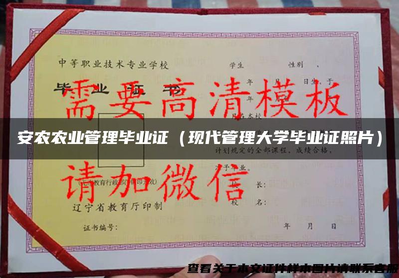 安农农业管理毕业证（现代管理大学毕业证照片）