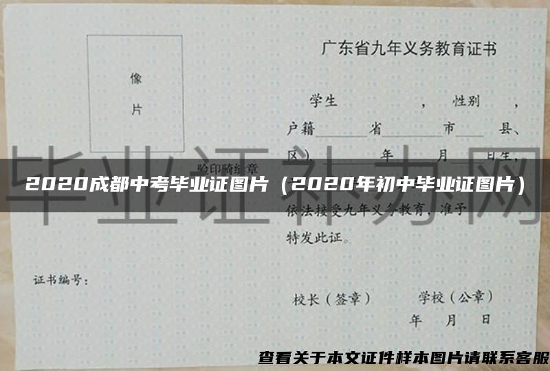 2020成都中考毕业证图片（2020年初中毕业证图片）