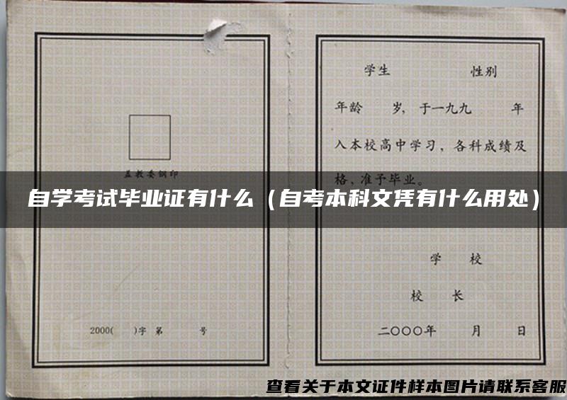 自学考试毕业证有什么（自考本科文凭有什么用处）