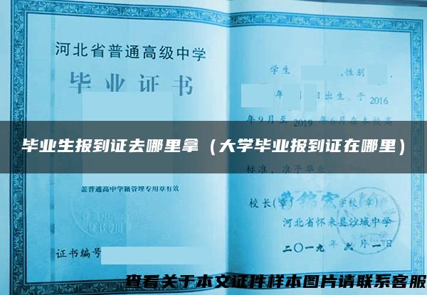 毕业生报到证去哪里拿（大学毕业报到证在哪里）