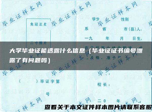 大学毕业证能透露什么信息（毕业证证书编号泄露了有问题吗）