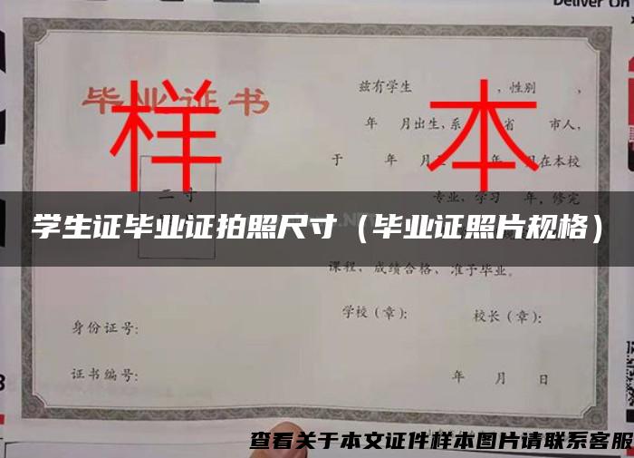 学生证毕业证拍照尺寸（毕业证照片规格）