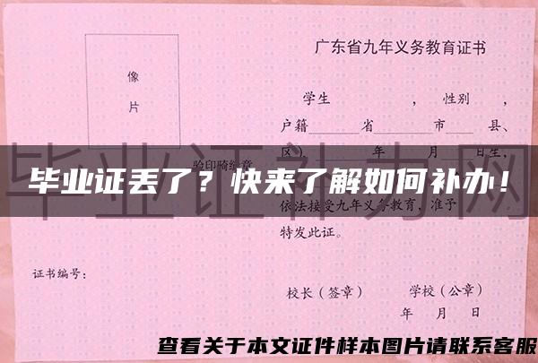 毕业证丢了？快来了解如何补办！