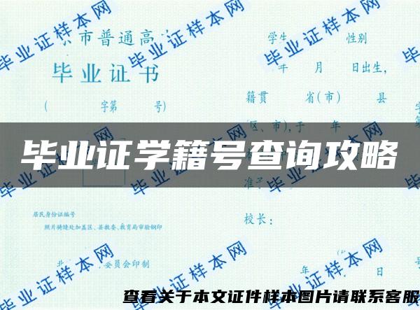 毕业证学籍号查询攻略