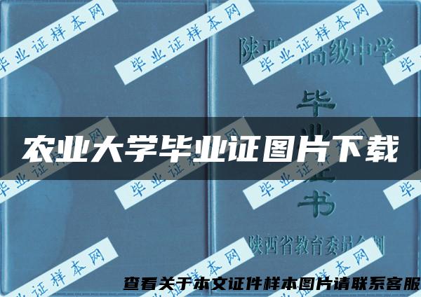 农业大学毕业证图片下载