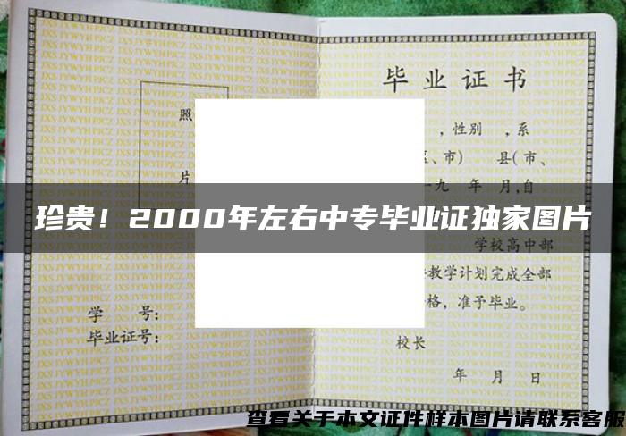 珍贵！2000年左右中专毕业证独家图片