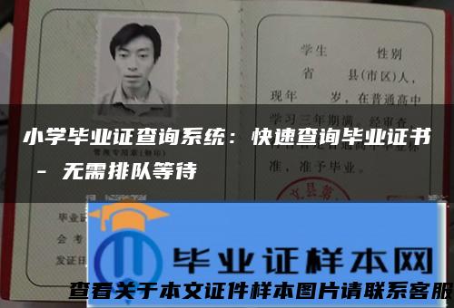 小学毕业证查询系统：快速查询毕业证书 - 无需排队等待