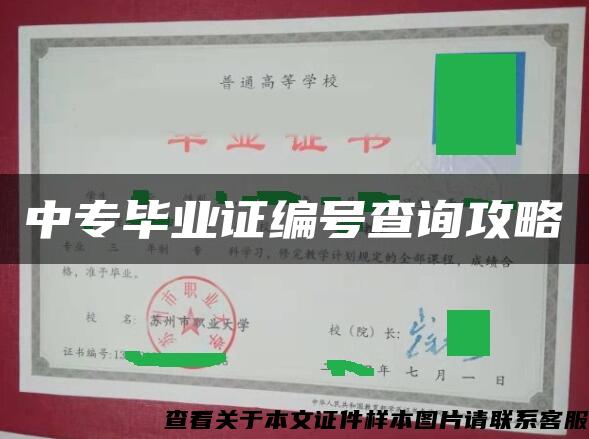 中专毕业证编号查询攻略