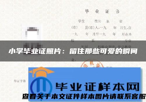 小学毕业证照片：留住那些可爱的瞬间