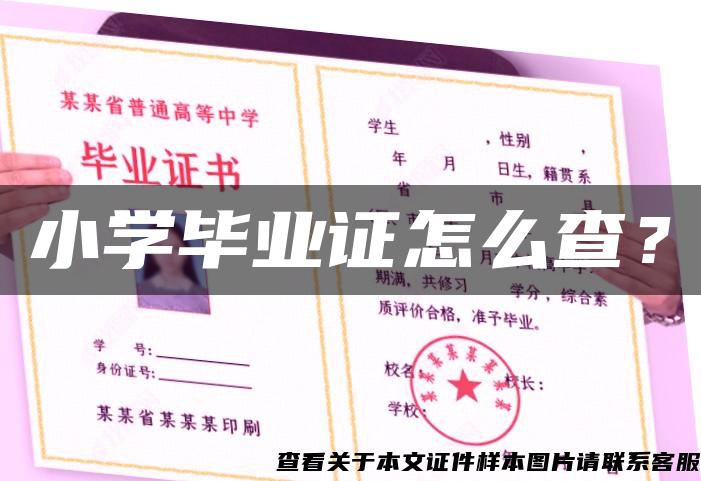 小学毕业证怎么查？