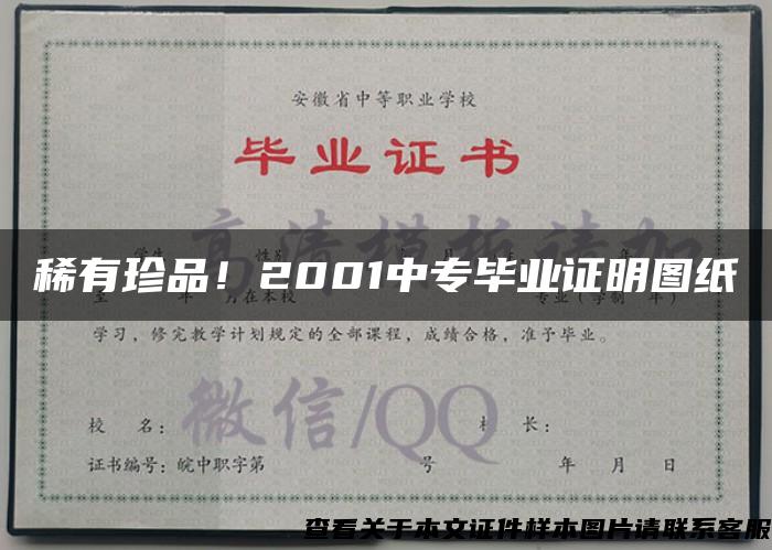 稀有珍品！2001中专毕业证明图纸