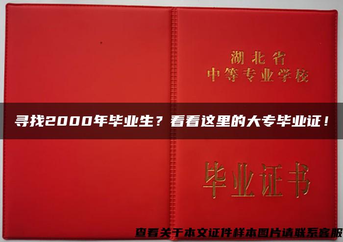 寻找2000年毕业生？看看这里的大专毕业证！