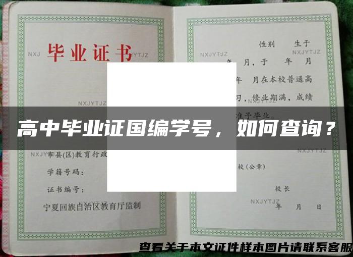 高中毕业证国编学号，如何查询？