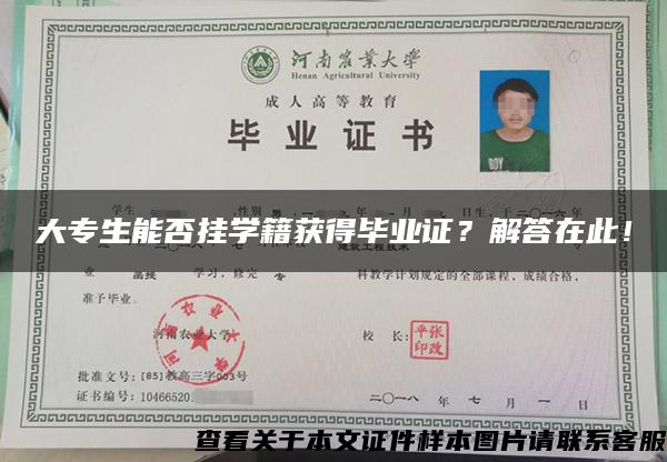 大专生能否挂学籍获得毕业证？解答在此！