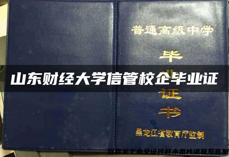 山东财经大学信管校企毕业证