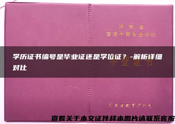 学历证书编号是毕业证还是学位证？-解析详细对比