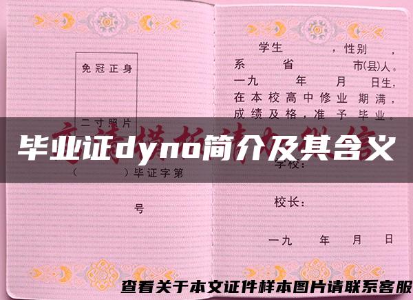 毕业证dyno简介及其含义