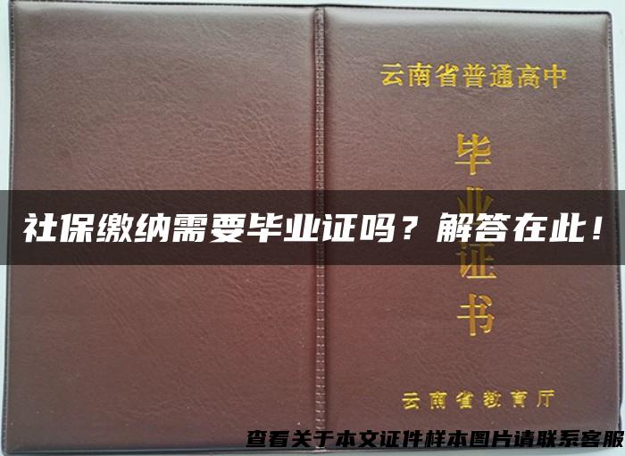 社保缴纳需要毕业证吗？解答在此！