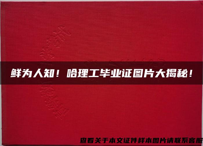 鲜为人知！哈理工毕业证图片大揭秘！