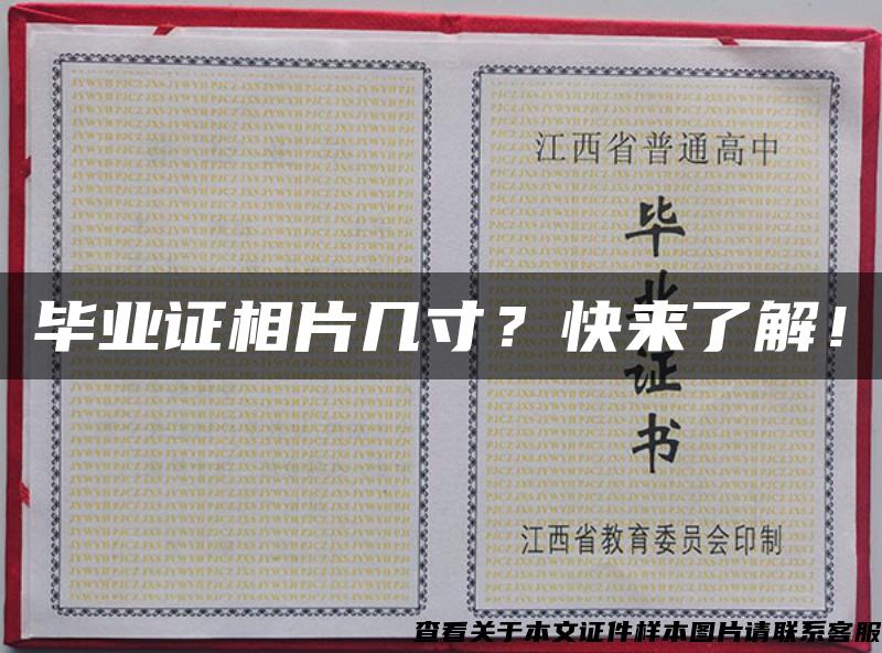 毕业证相片几寸？快来了解！