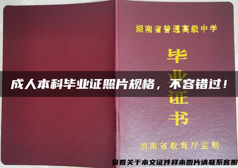 成人本科毕业证照片规格，不容错过！