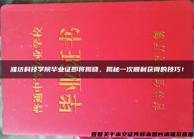 潍坊科技学院毕业证即将揭晓，揭秘一次顺利获得的技巧！