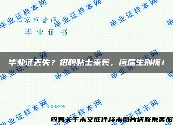 毕业证丢失？招聘贴士来袭，应届生别慌！