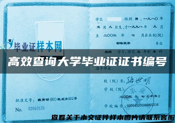 高效查询大学毕业证证书编号