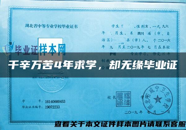 千辛万苦4年求学，却无缘毕业证