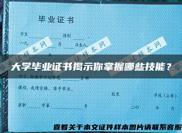 大学毕业证书揭示你掌握哪些技能？