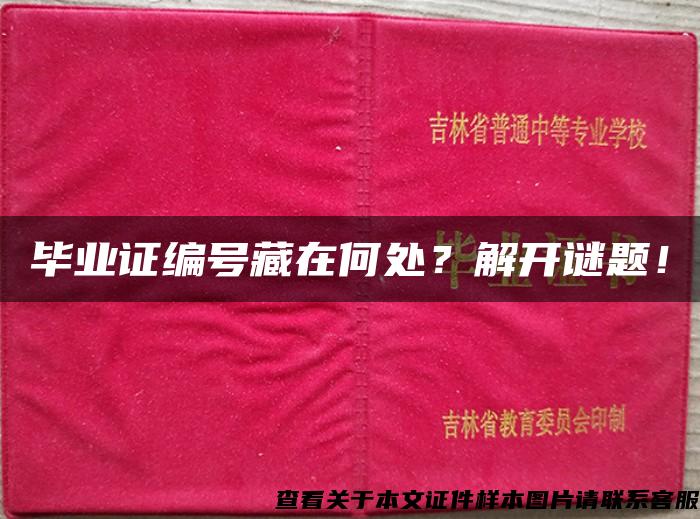 毕业证编号藏在何处？解开谜题！