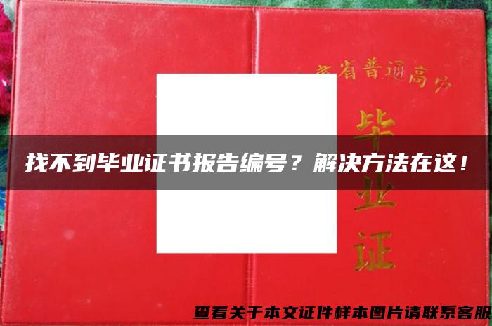 找不到毕业证书报告编号？解决方法在这！