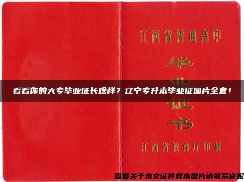 看看你的大专毕业证长啥样？辽宁专升本毕业证图片全套！