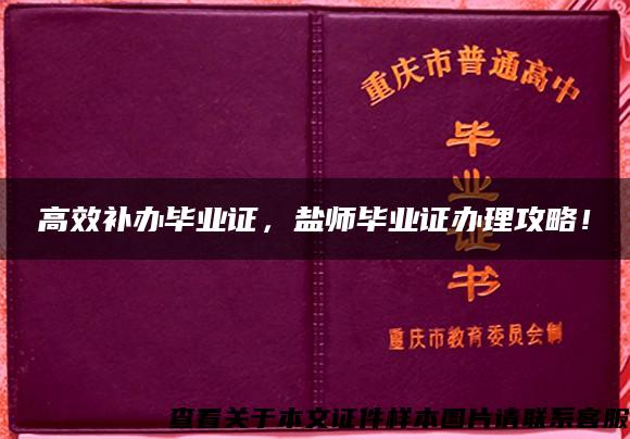 高效补办毕业证，盐师毕业证办理攻略！