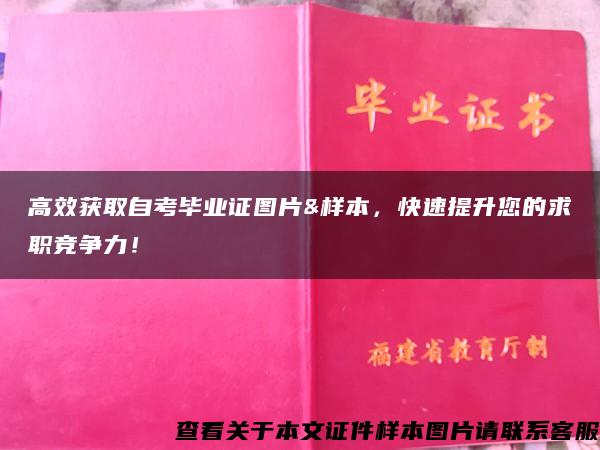 高效获取自考毕业证图片&样本，快速提升您的求职竞争力！