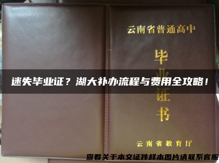 迷失毕业证？湖大补办流程与费用全攻略！