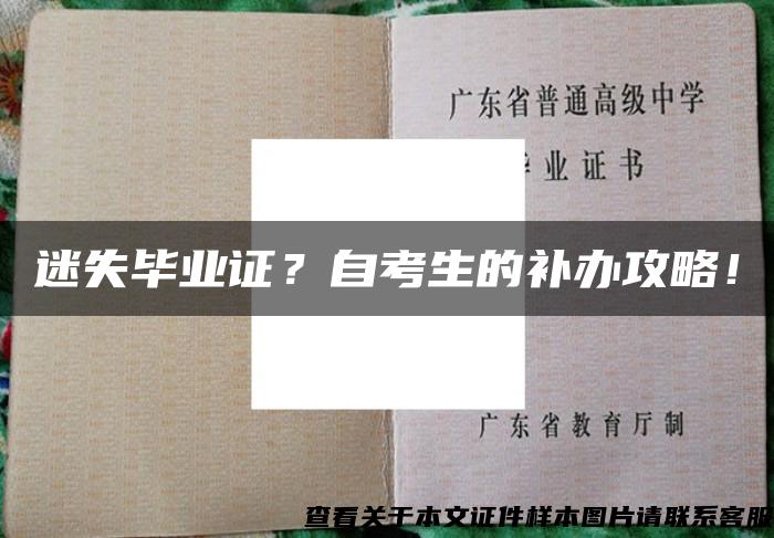 迷失毕业证？自考生的补办攻略！